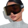 Ski Goggles